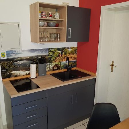 Zimmerappartement "Rose" - Ferienwohnungen Wagner & Gaul Daleiden Exteriér fotografie